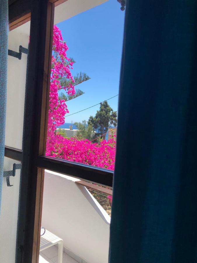 Garden House Apartmán