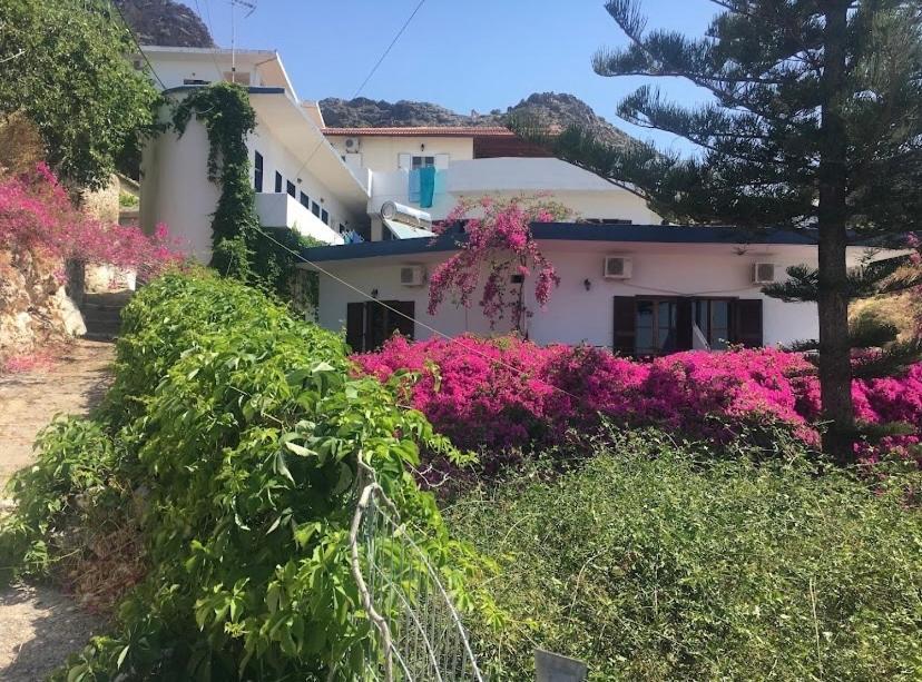 Garden House Apartment